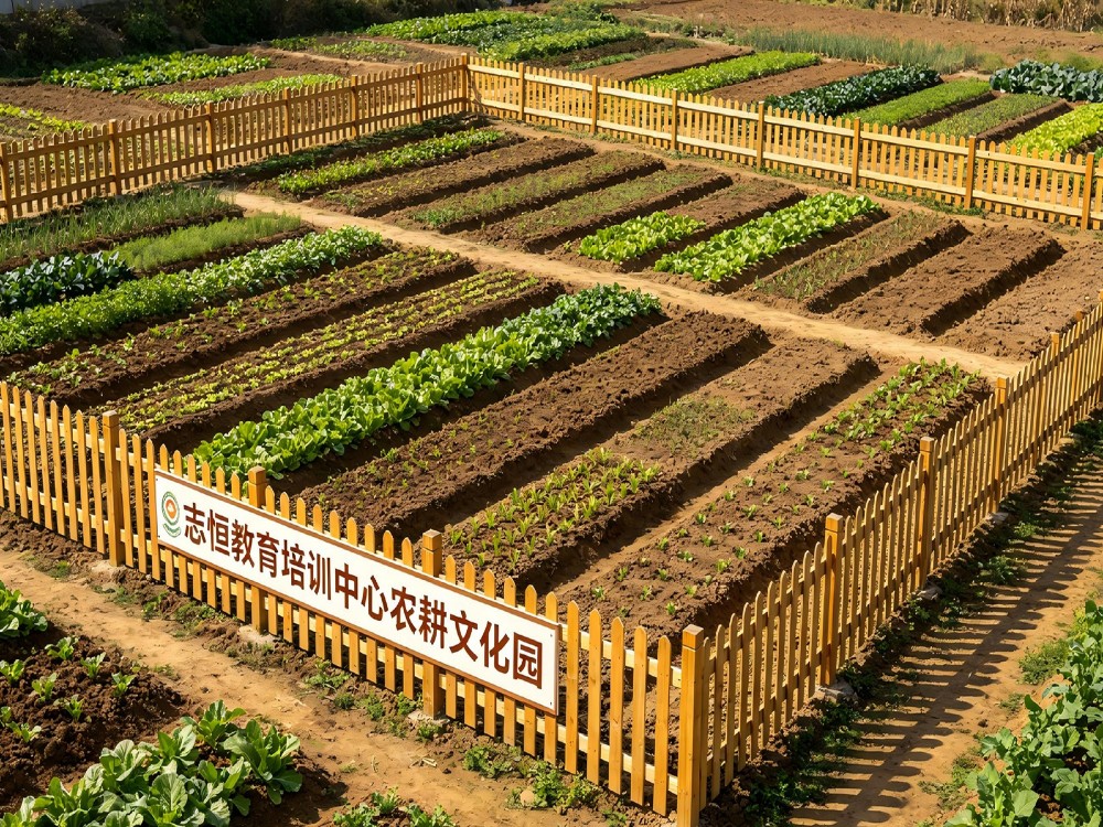 宝鸡叛逆孩子管教学校怎么选?这份实用择校标准请收好